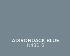 behr_trends26_color_chips_us_adirondack_blue.jpg
