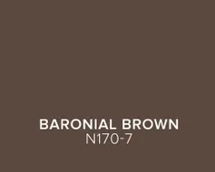 behr_trends26_color_chips_us_baronial_brown.jpg