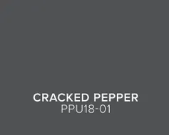 behr_trends26_color_chips_us_cracked_pepper.jpg