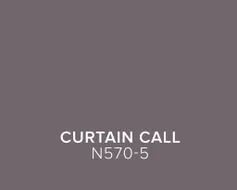 behr_trends26_color_chips_us_curtain_call.jpg