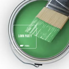 p390-6_lawn_party.jpg