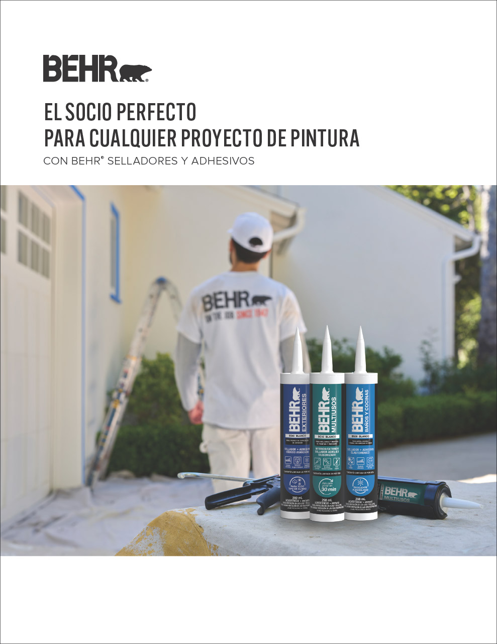BEHR PRO LATAM_CAULKS-&-SEALANTS-LINE brochure
